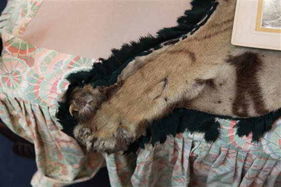 A tiger skin rug